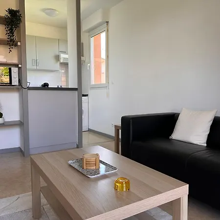 Charming One Bedroom Apartment, - Pres Des Commerces Et Tram Fibre Wifi, Airbus Meet Super Location * Blagnac