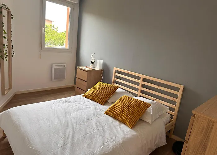 Charming One Bedroom Apartment, - Pres Des Commerces Et Tram Fibre Wifi, Airbus Meet Super Location Appartement *