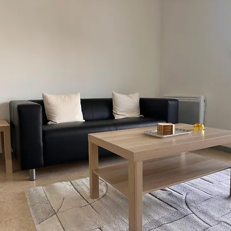 Charming One Bedroom Apartment, - Pres Des Commerces Et Tram Fibre Wifi, Airbus Meet Super Location Appartamento *